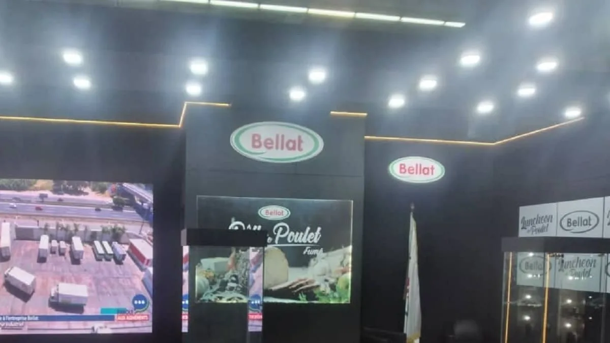 Algérie : Bellat au centre d’une controverse après une vidéo virale