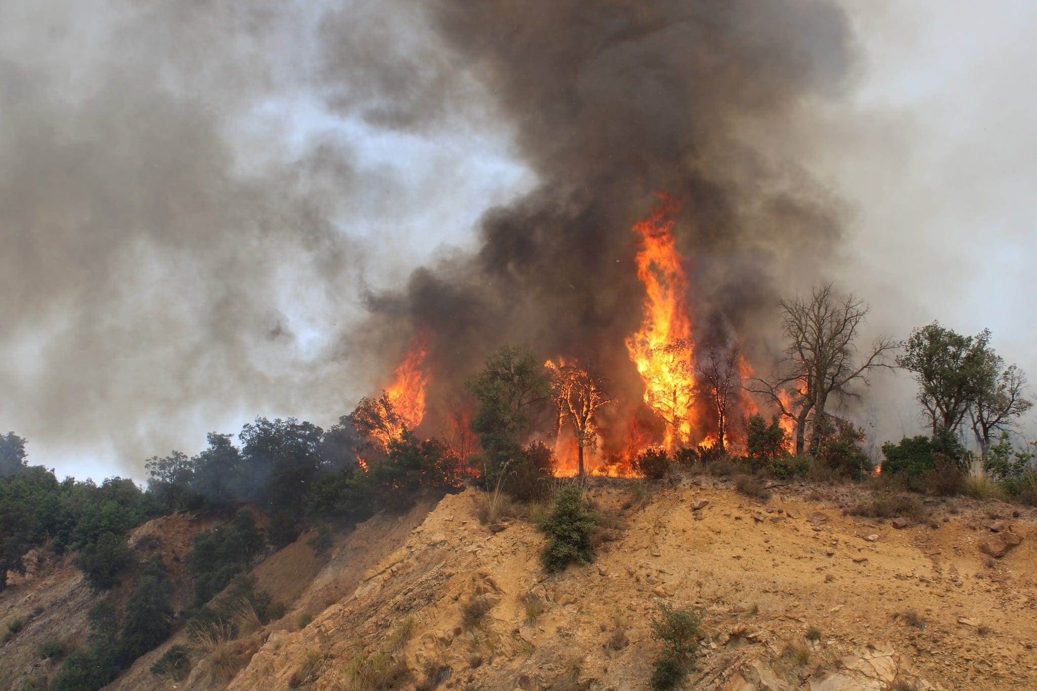 Des avions bombardiers d’eau de type AT802 et BE200
