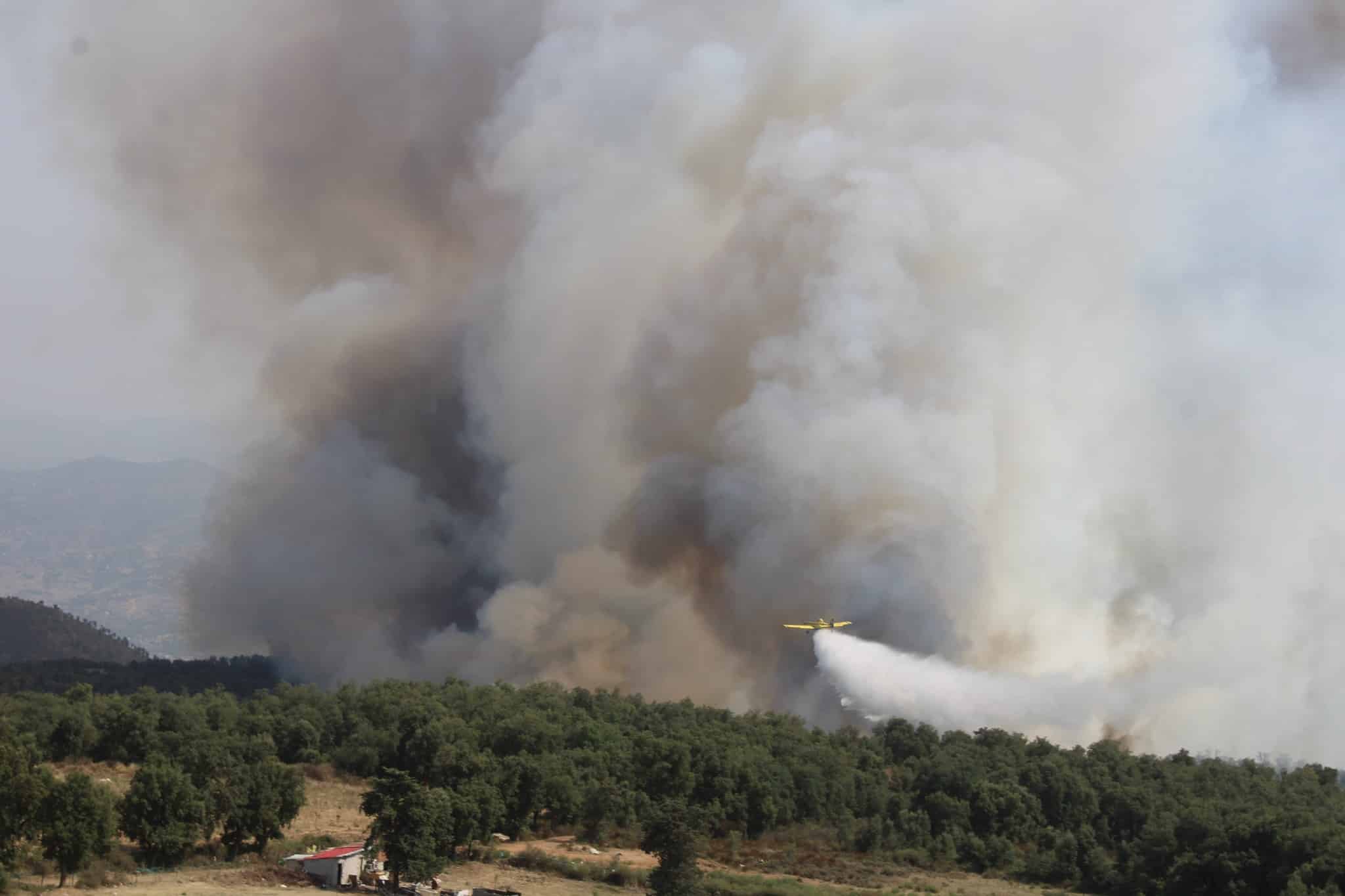 Feux de forêt en Algérie : l’armée mobilise ses avions