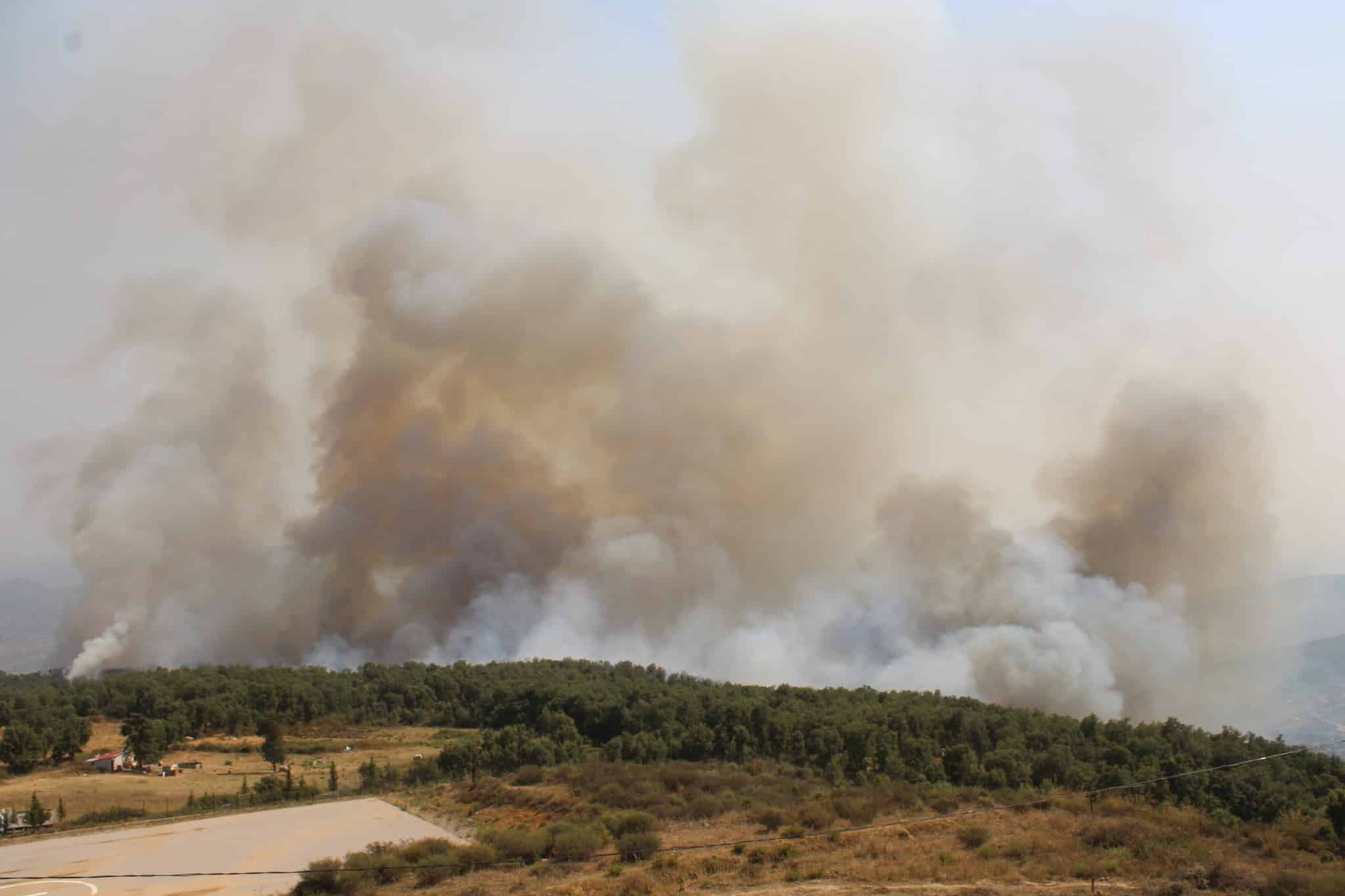 Une vague d’incendies touche l’Algérie depuis quelques jours