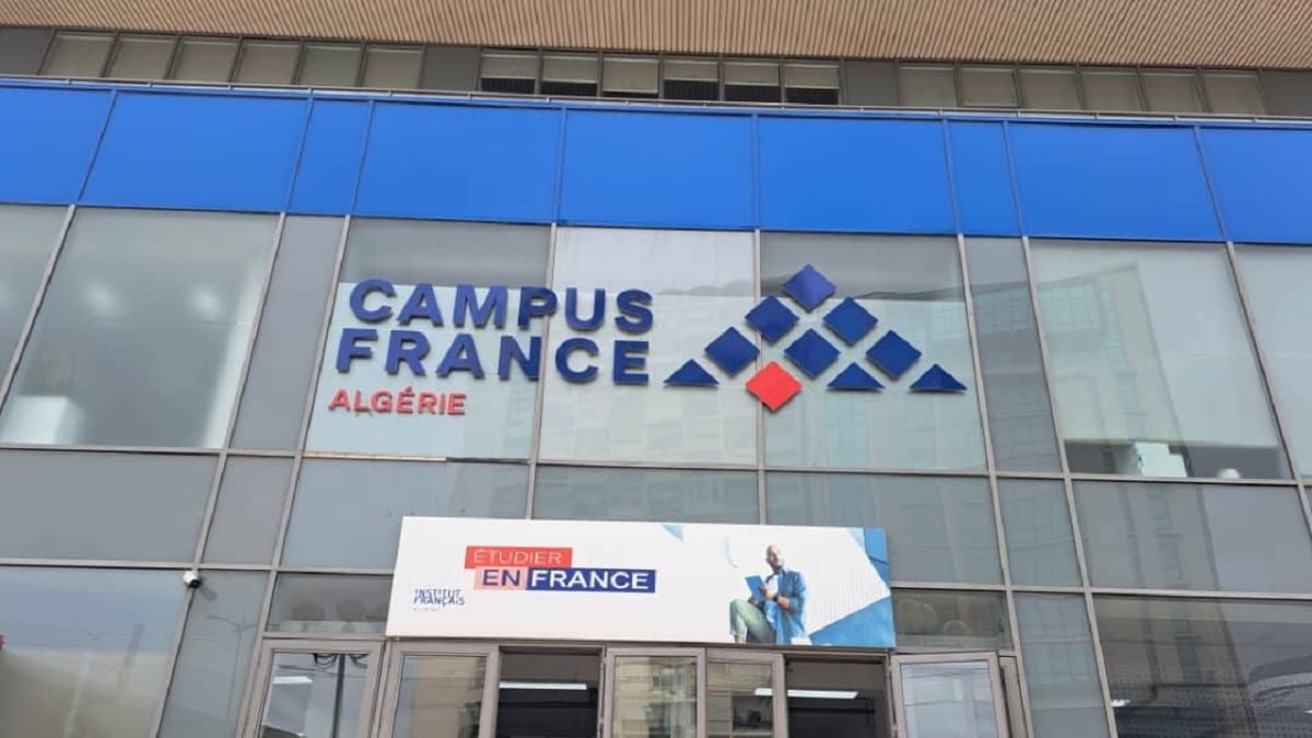 Étudiants algériens en France : cinq chiffres clés à retenir