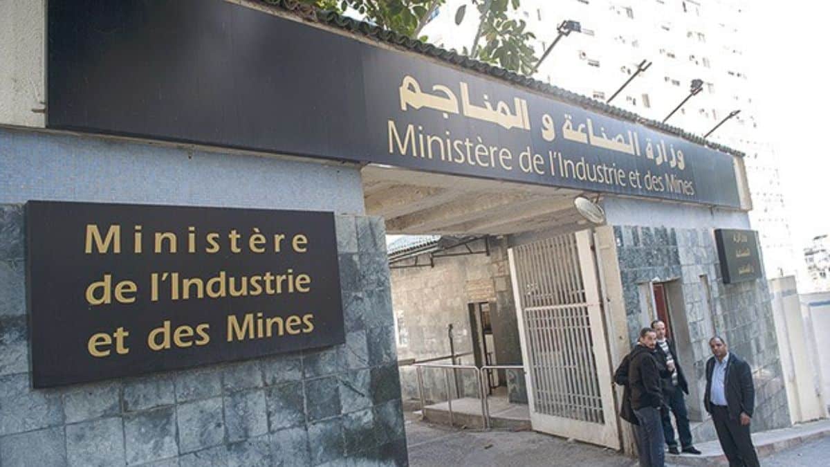 Automobile : l’Algérie séduit les talents nationaux et de la diaspora