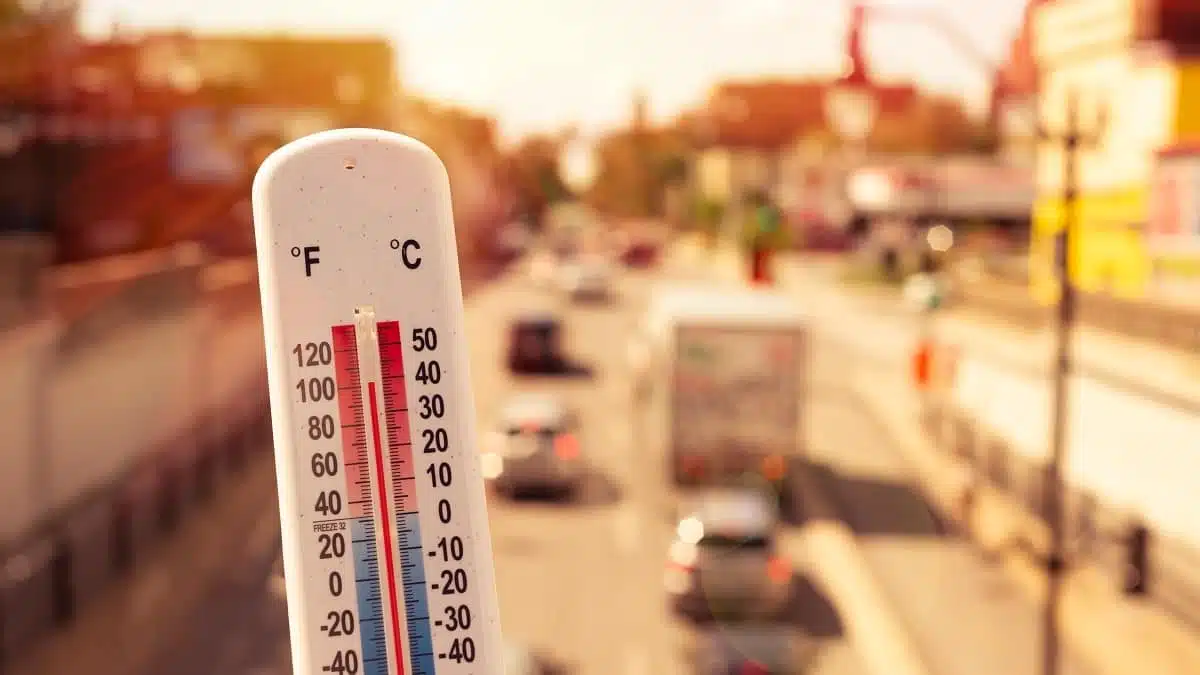 Orages, canicule, pluies en Algérie : les régions concernées