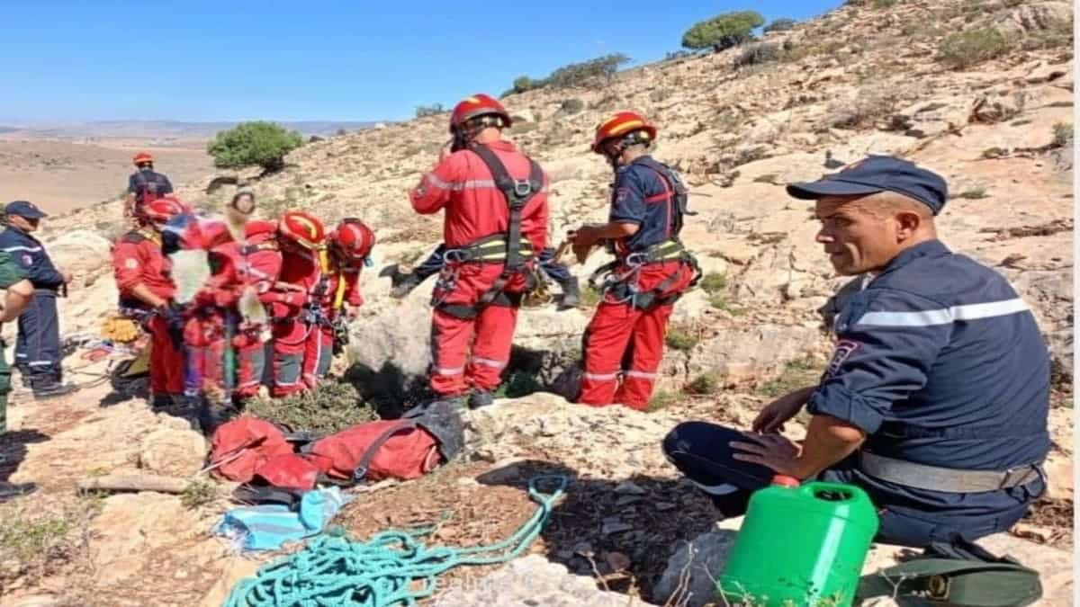 En quête de miel, il se retrouve coincé dans une grotte profonde