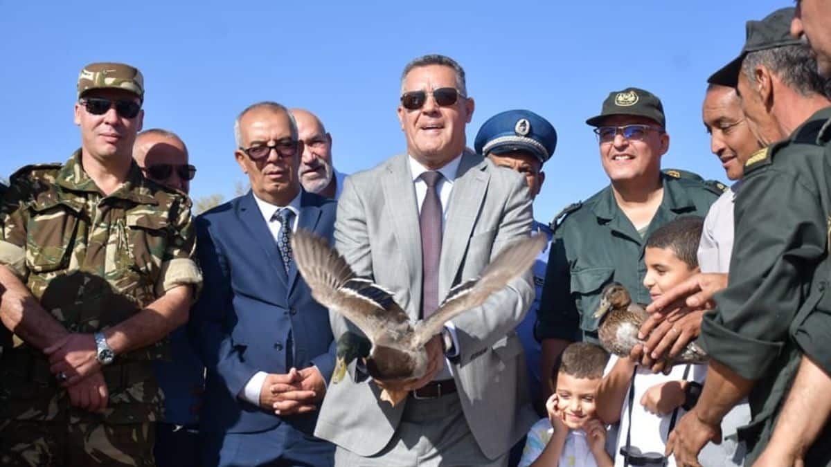Lâcher de canards verts dans une zone humide à Naâma