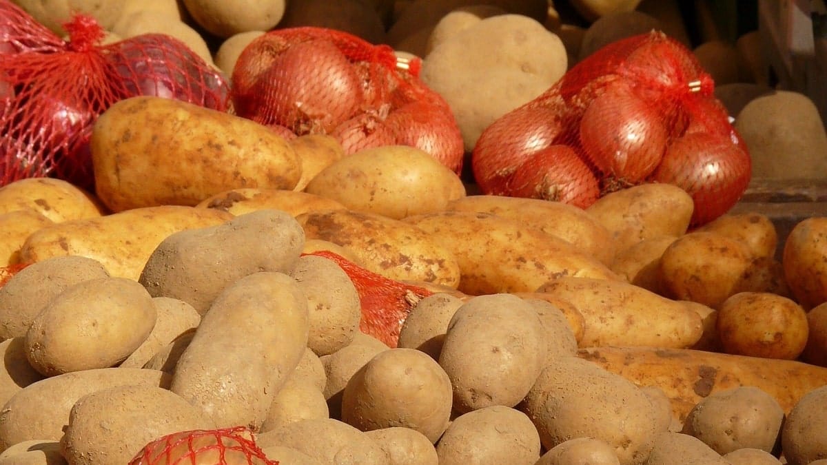 Surplus agricole : l’Algérie lance les crédits gratuits pour les chambres froides