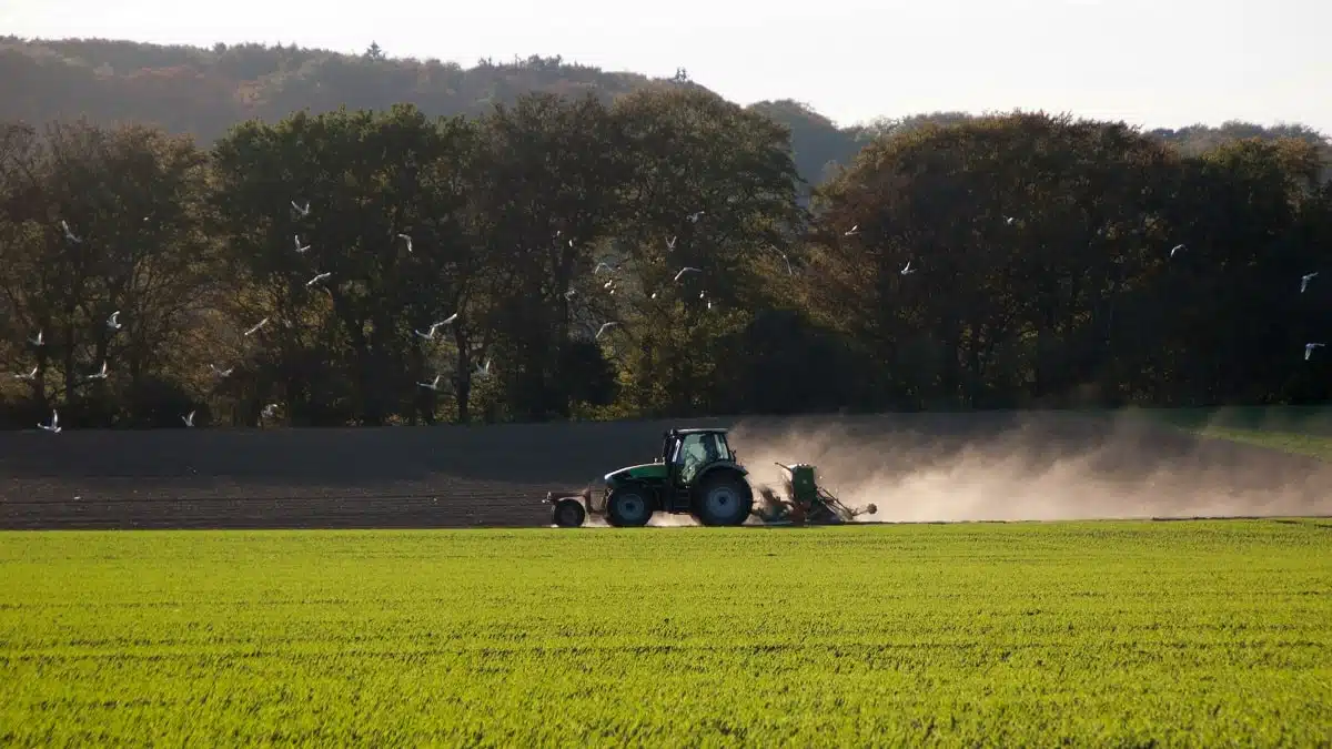 Comment le renouveau agricole algérien bouscule l’agriculture française