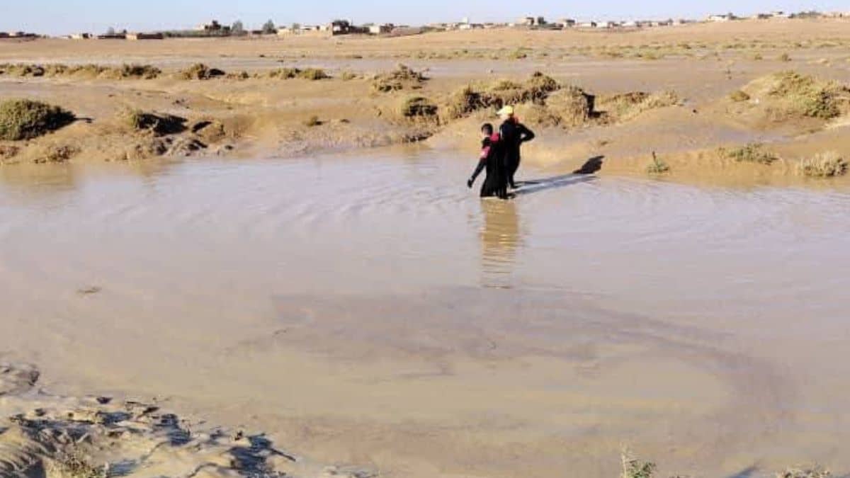 Inondations en Algérie : cinq morts dont trois enfants, plusieurs sauvetages