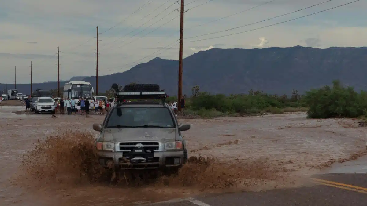 Inondations en Algérie : un mort et deux personnes sauvées