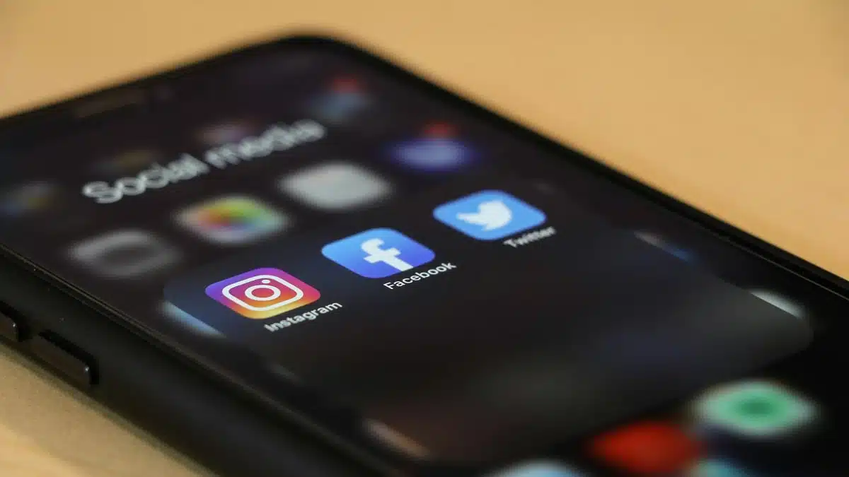 En Algérie, les réseaux sociaux font tomber des dizaines de délinquants