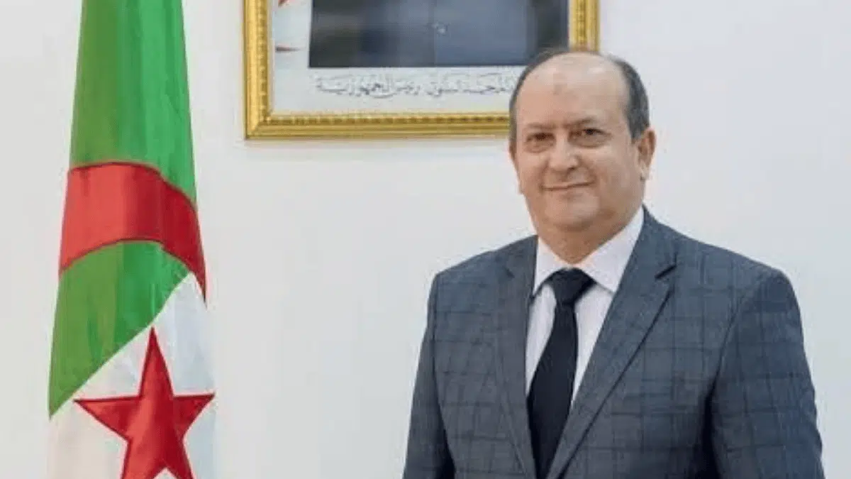 Algérie : Sifi Ghrieb lève le voile sur le pillage des oligarques