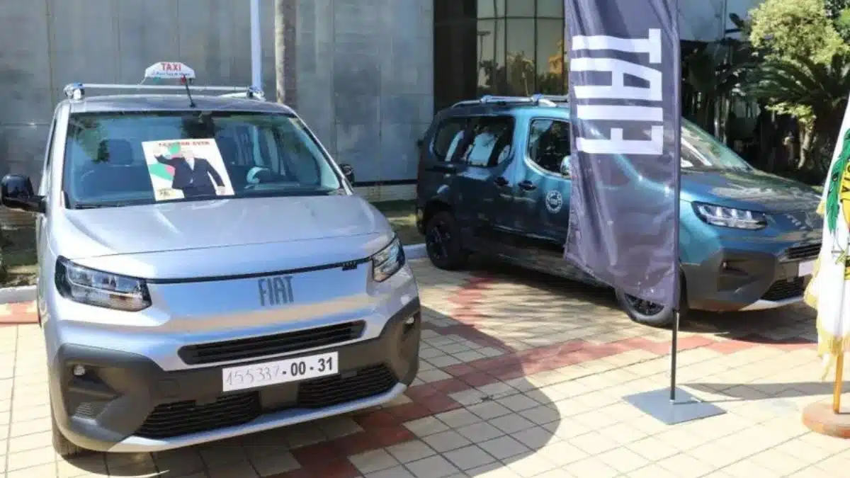 Les taxis Fiat bientôt équipés de GPS « made in Algeria »