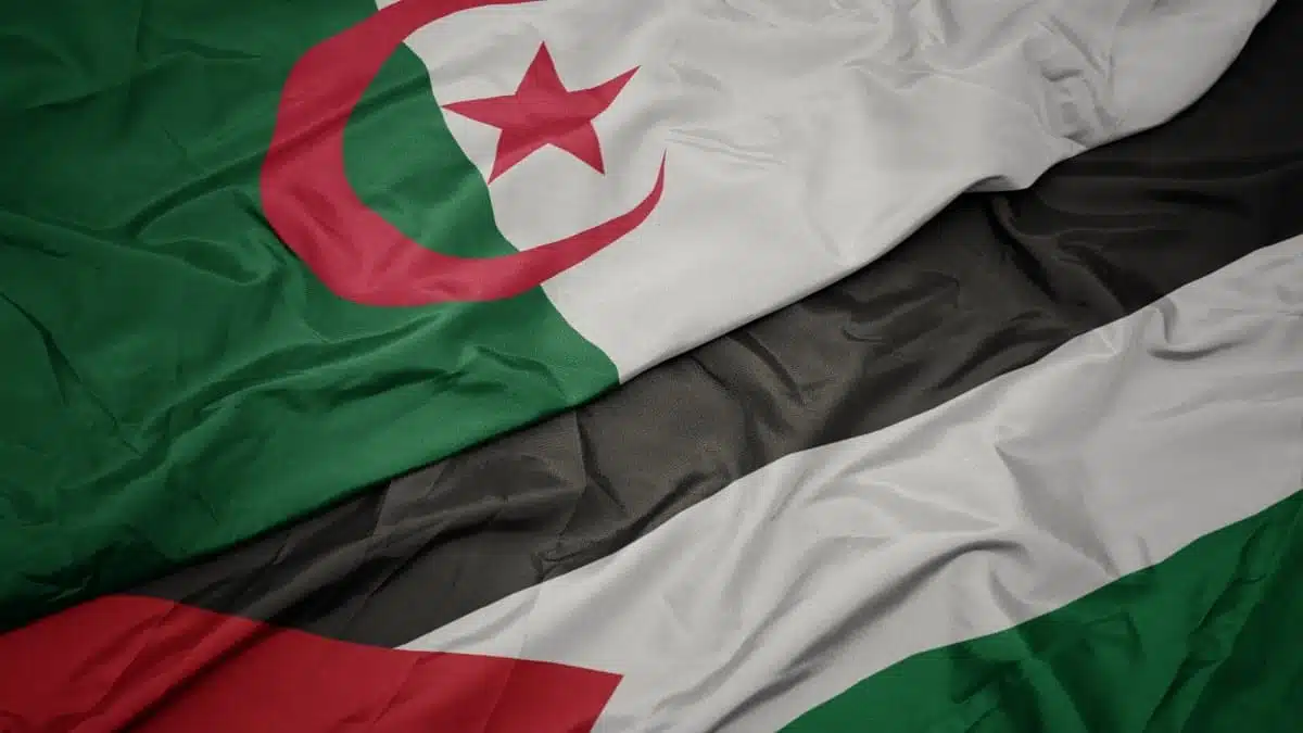 Flottille pour Gaza : six Algériens retenus en Israël remis en liberté