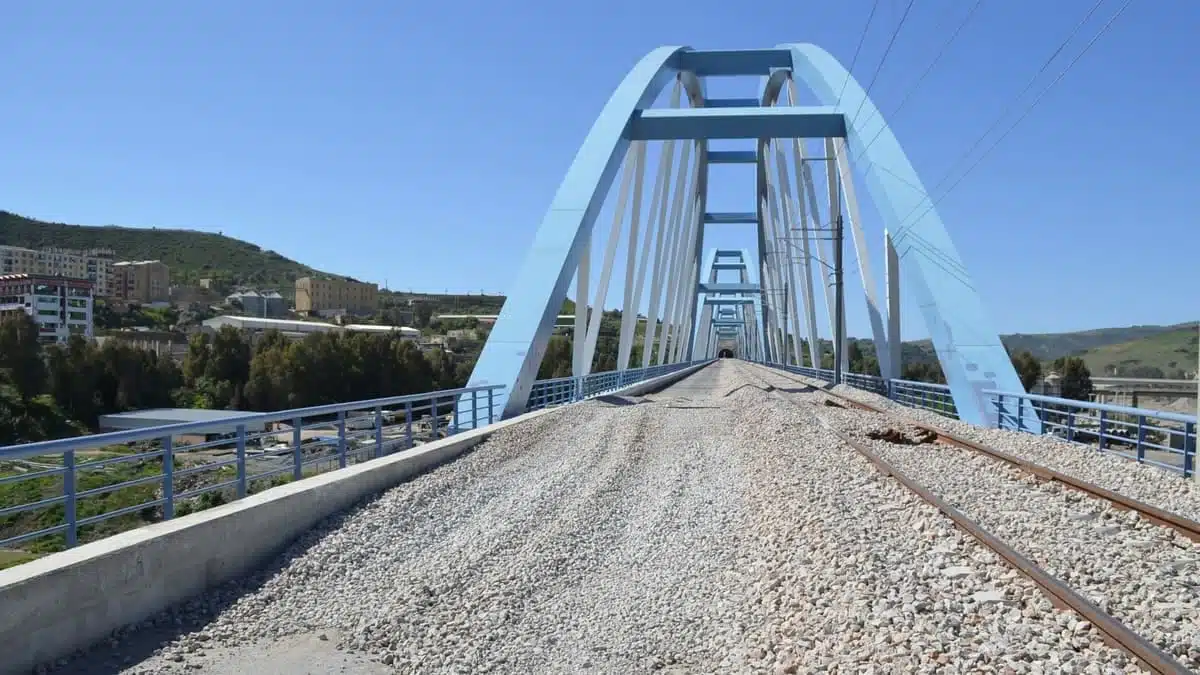Vidéo. Algérie : nouvelles images du plus long viaduc ferroviaire d’Afrique