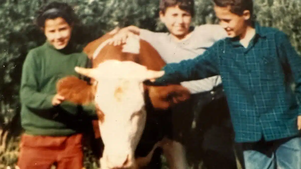 Khelifa Ait Saïd, le berger orphelin algérien devenu grand chirurgien en France