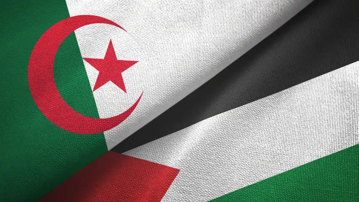 Alerte. Flottille pour Gaza : des Algériens retenus en Israël libérés