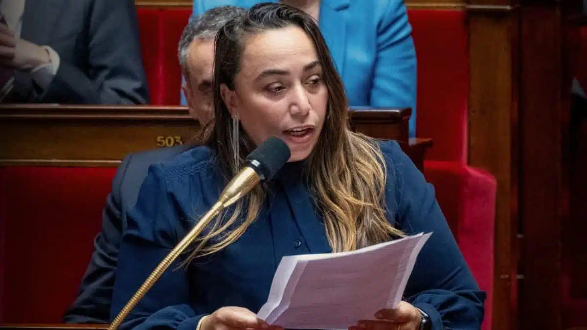 Vidéo. Sabrina Sebaihi dénonce la « chasse aux Algériens » en France