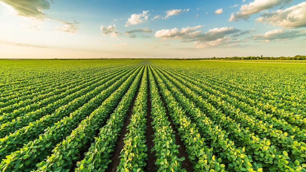 L’Algérie lance un vaste chantier de modernisation de son agriculture