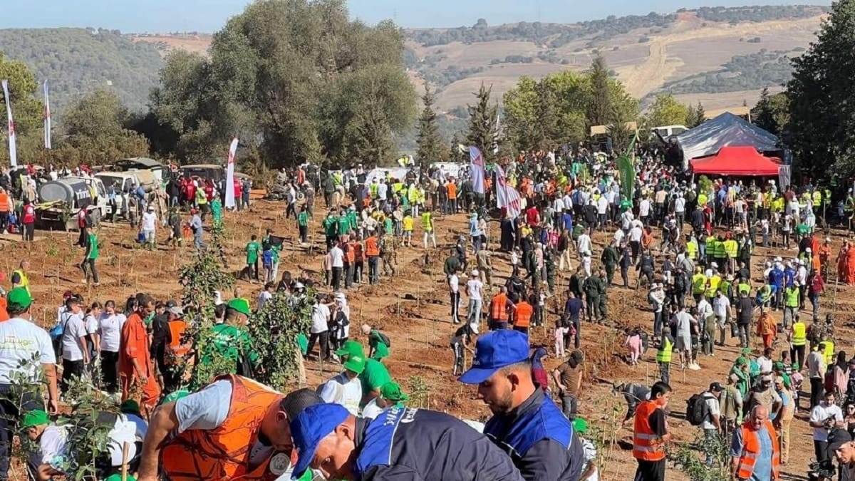 Un million d’arbres en 24h : les Algériens s’unissent pour reverdir le pays