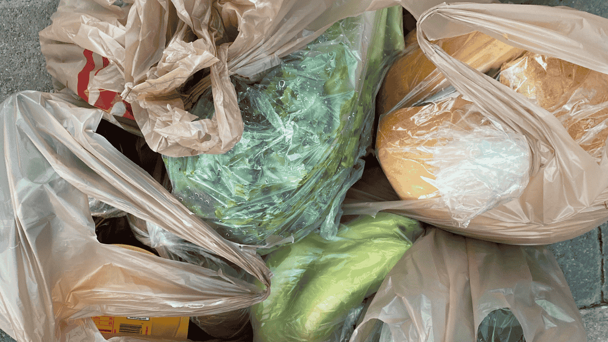 Algérie : les sacs plastiques ne sont plus gratuits dans les commerces