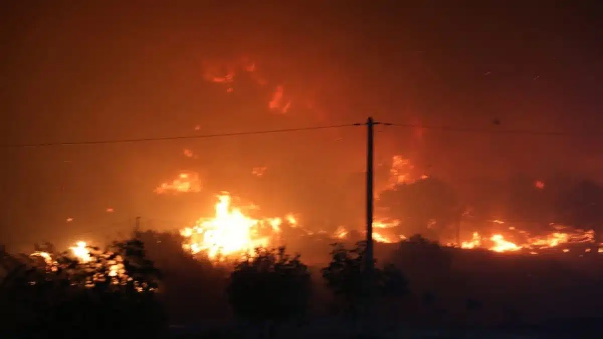 Vidéo. Impressionnants feux de forêt à Tipaza
