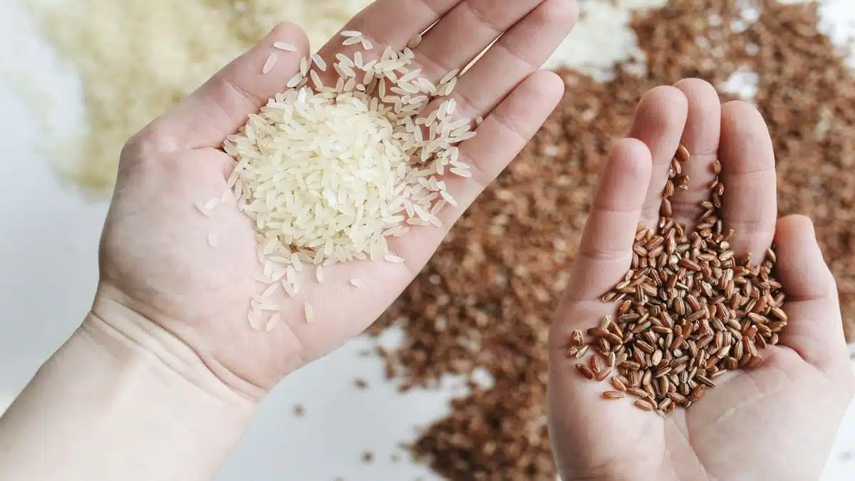 Algérie : du nouveau pour les importations de riz et de légumineuses