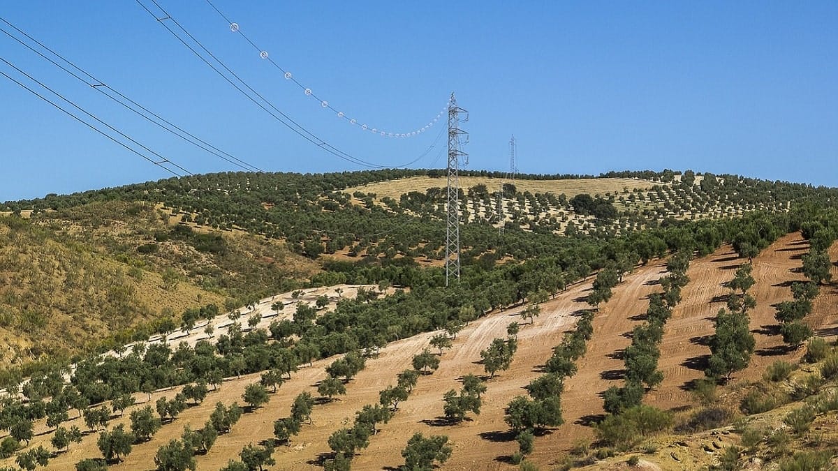 Électrifier, mécaniser… : l’Algérie accélère la modernisation de son agriculture
