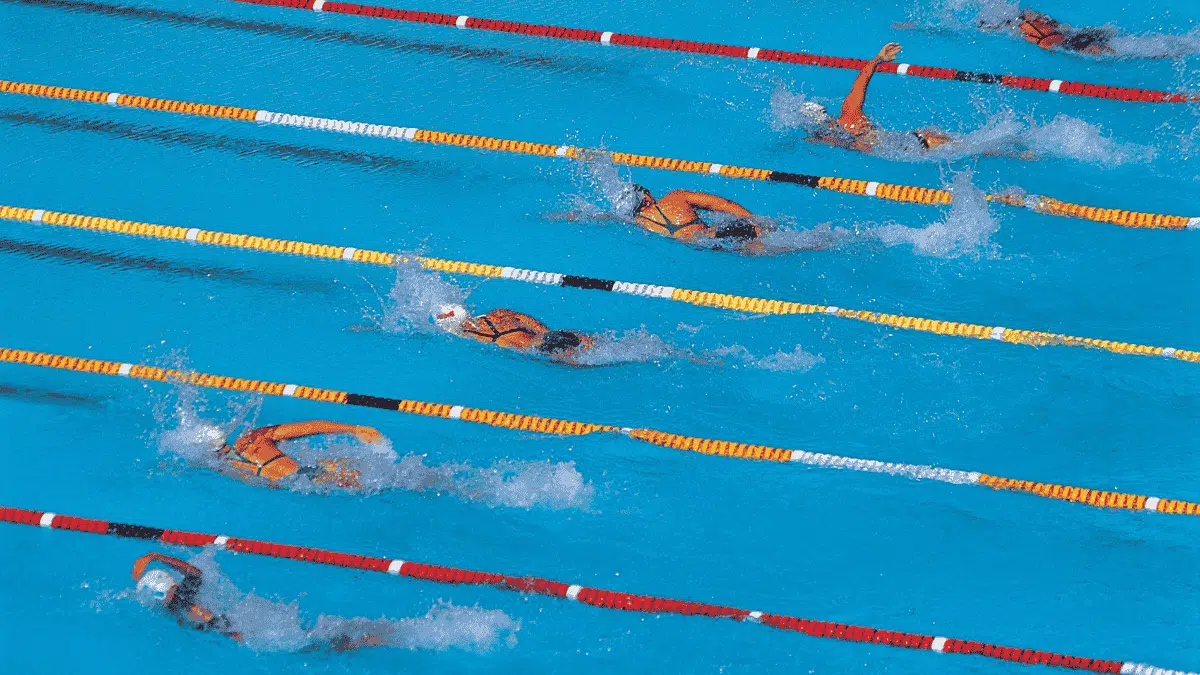 Une championne algérienne prend les rênes d’un club de natation en France