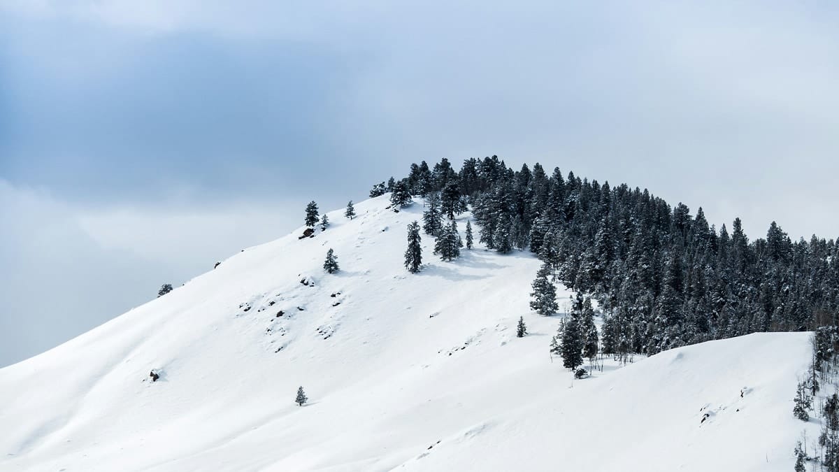 Premières neiges en Algérie : quel impact sur l’agriculture et l’eau ?