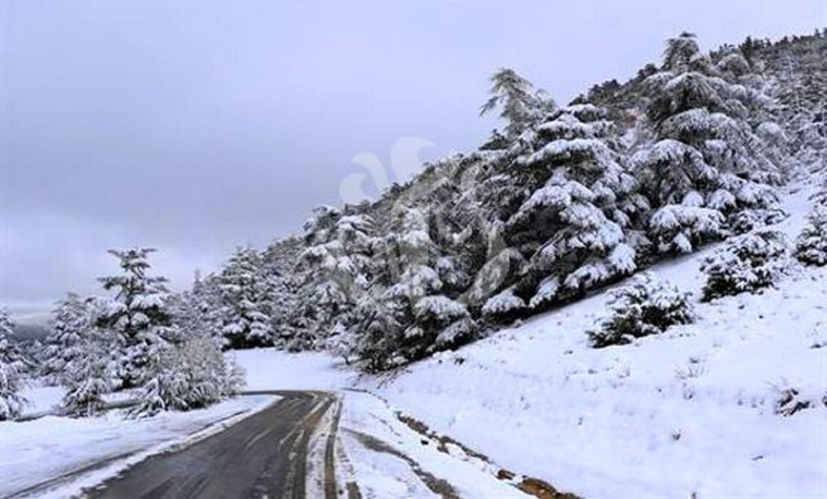 L’Algérie sous la neige : entre paysages sublimes et désordre routier