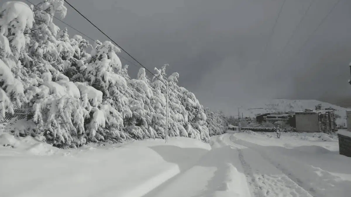 Vidéo. Bejaia : des enfants jouent dans la neige à Aït Smail