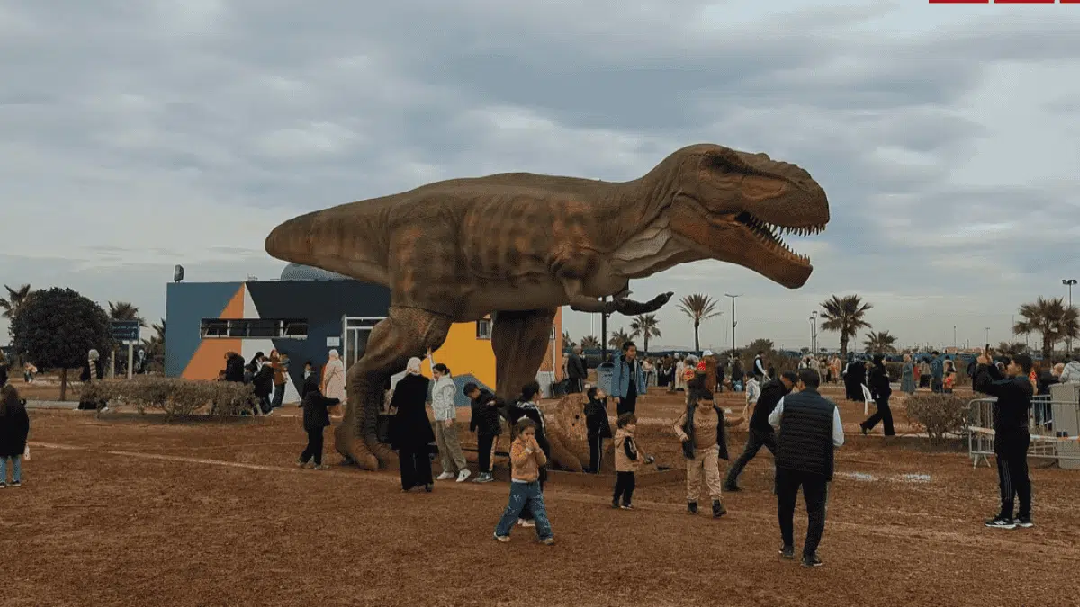 Vidéo. Le « Jurassic Park » d’Alger attire la foule