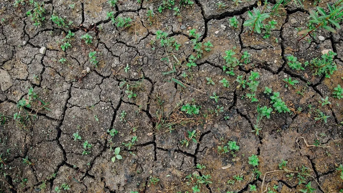 Algérie : cinq solutions pour faire face à la crise de l’eau