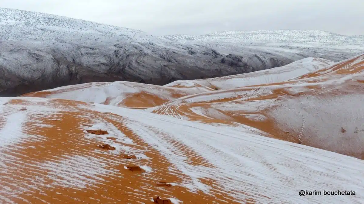 Phénomène rare : de la neige sur des dunes du Sahara algérien