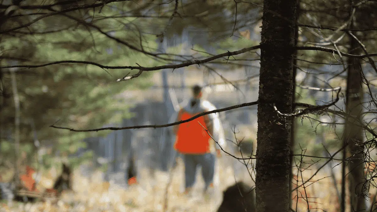 L&rsquo;Algérie a-t-elle interdit la chasse ? Le gouvernement répond