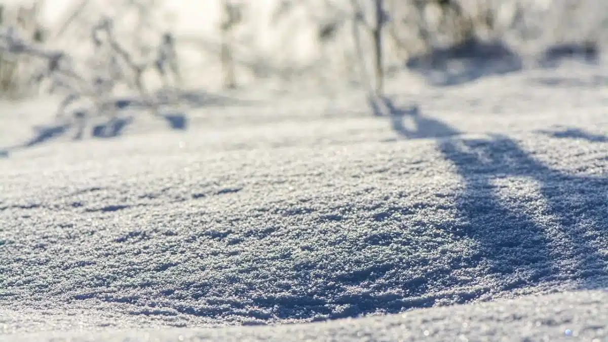 Nouvelle alerte neige en Algérie : 20 wilayas concernées