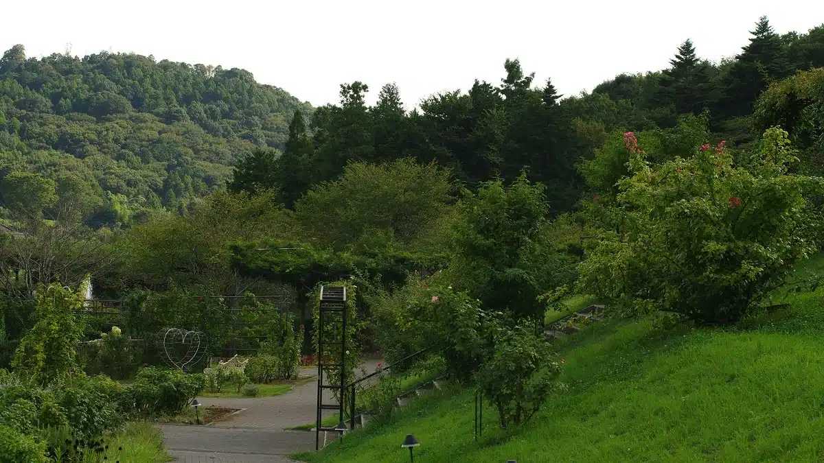 Vidéo. Alger : une ancienne décharge géante transformée en écoparc verdoyant