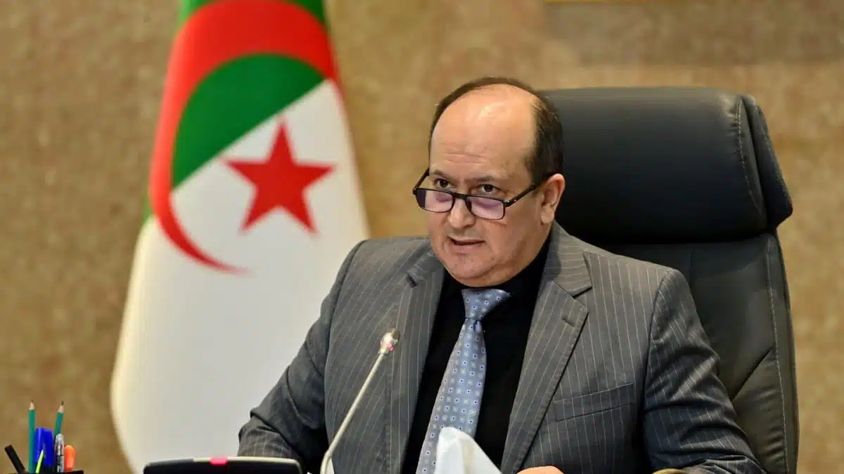 Importations : l’Algérie mise sur la simplification et la numérisation