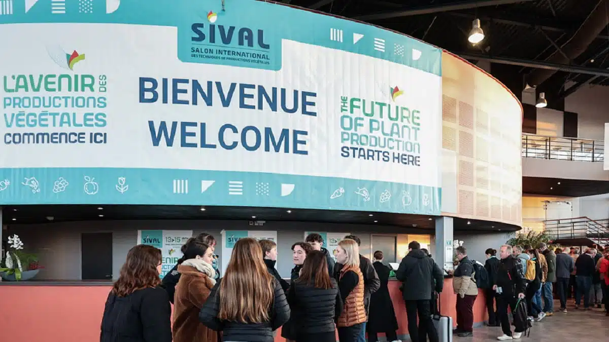 Des producteurs algériens de fruits et légumes en prospection en France