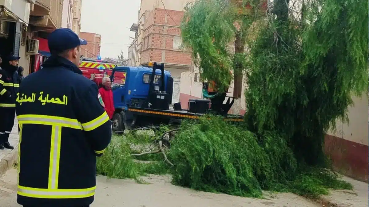 Vents violents en Algérie : 4 blessés et des images impressionnantes