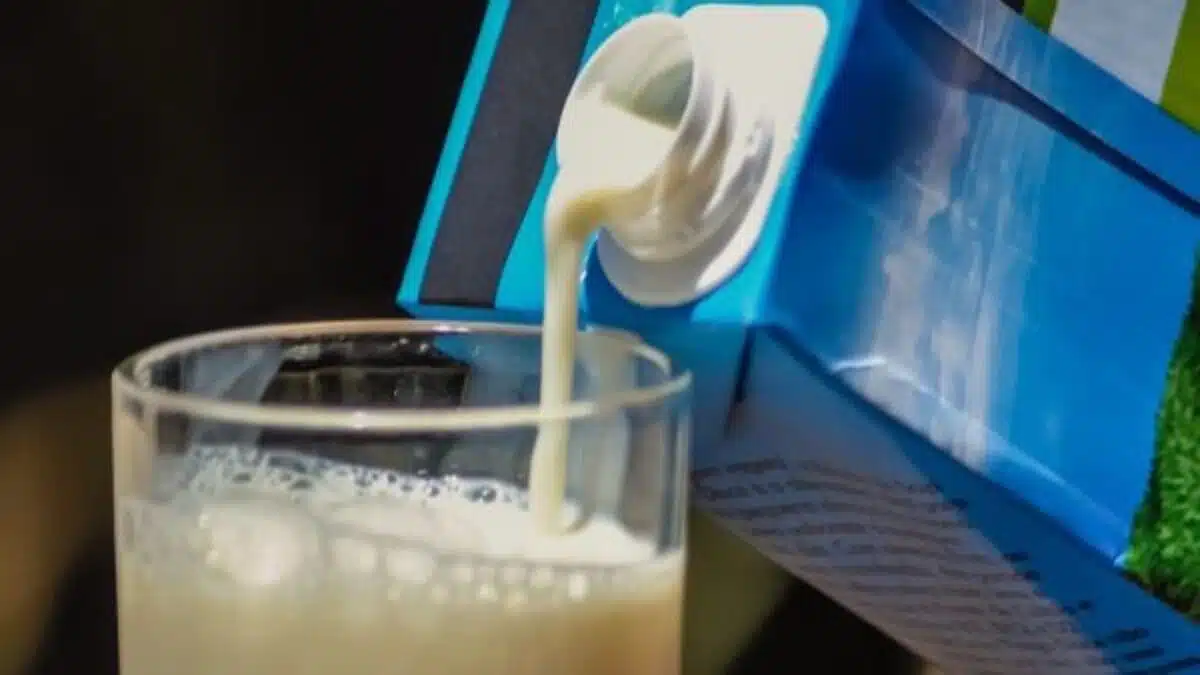 Hodna Lait : un modèle de mégaferme laitière 100% algérien