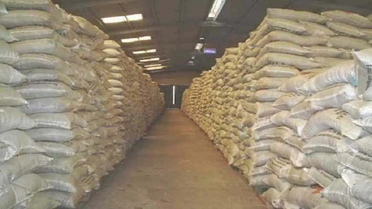 Algérie : comment l&rsquo;université révolutionne l&rsquo;alimentation animale