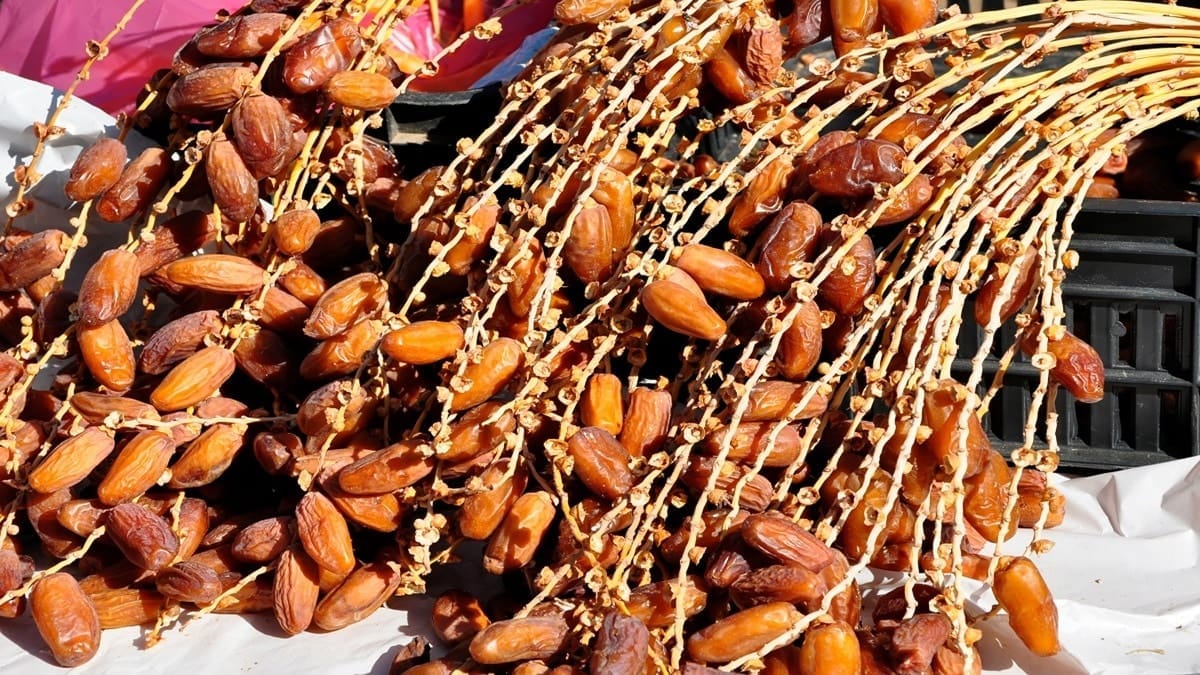 Algérie : des exportateurs de dattes bloqués, selon un député