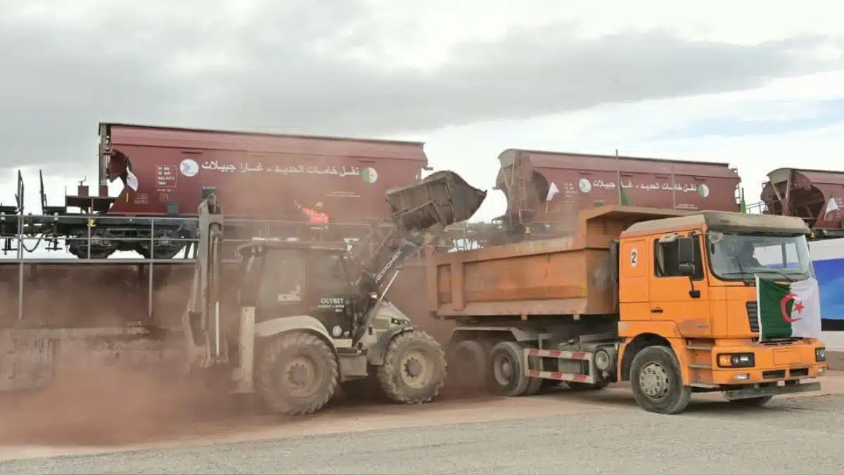 Vidéo. Le premier convoi de minerai de Gara Djebilet arrive à Tosyali Oran