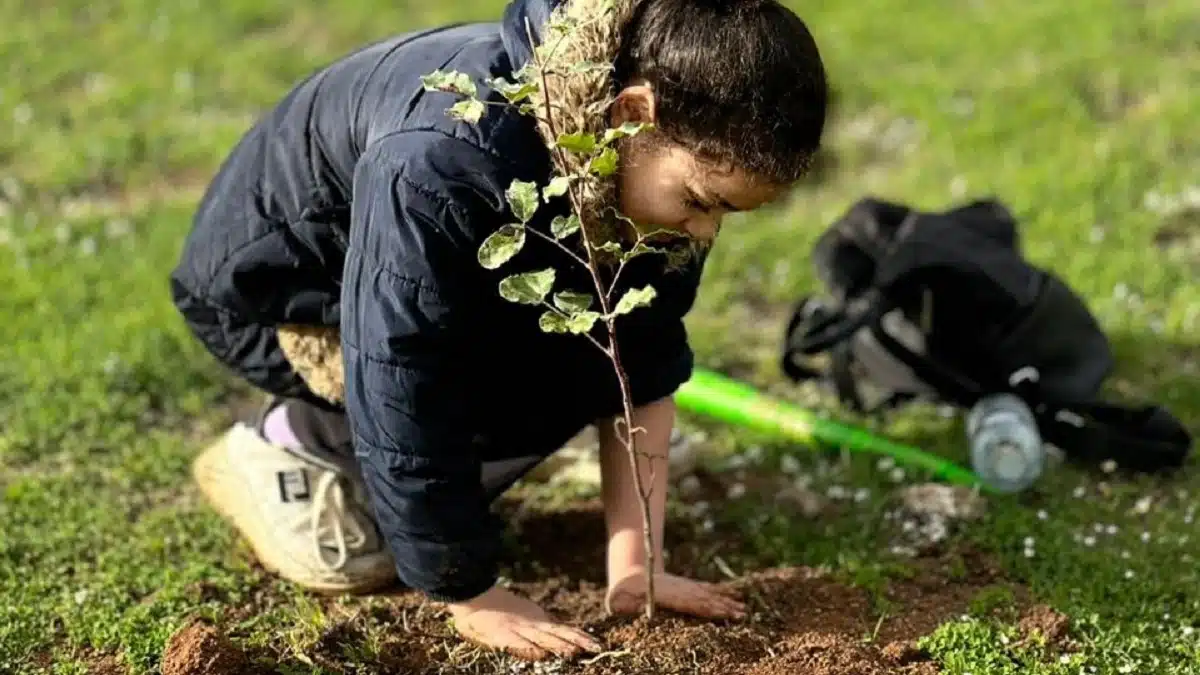 L&rsquo;Algérie plante 5 millions d&rsquo;arbres en une journée