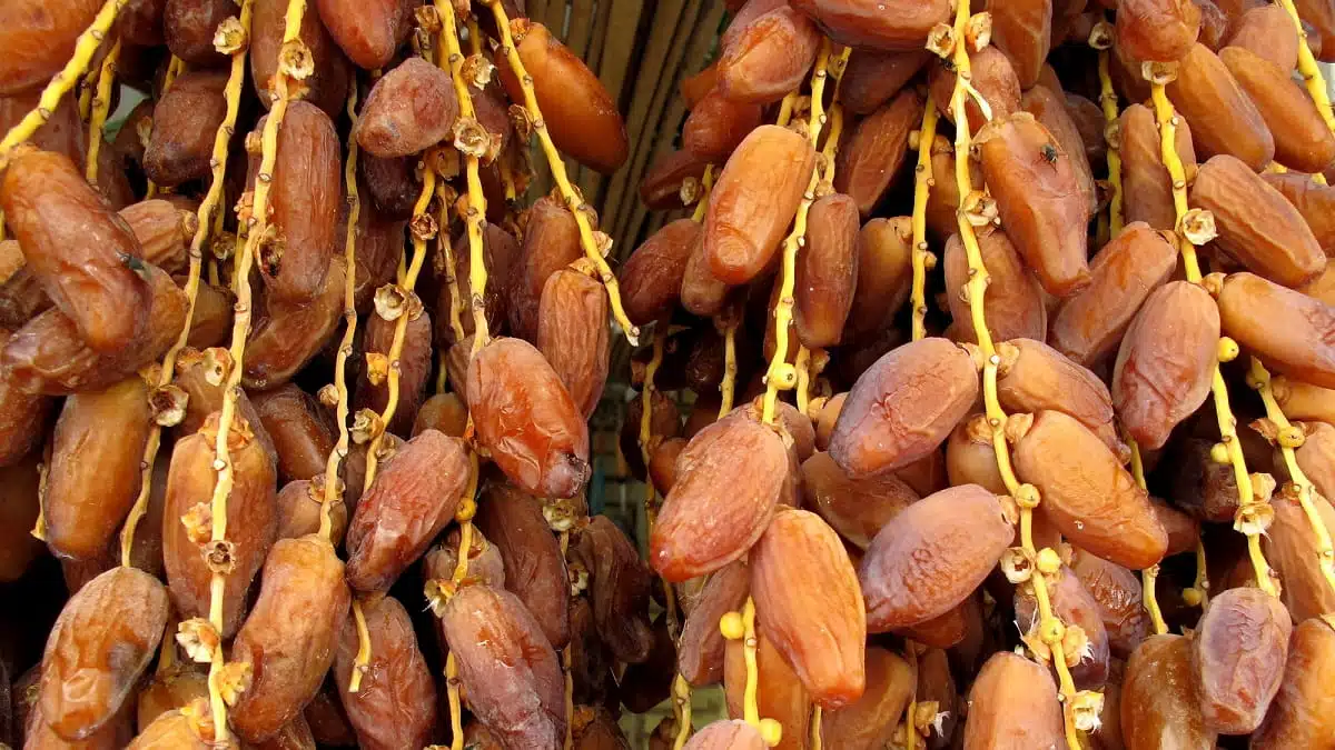 Pris en flagrant délit de pesticides en Europe, le Maroc retourne l&rsquo;accusation contre l&rsquo;Algérie