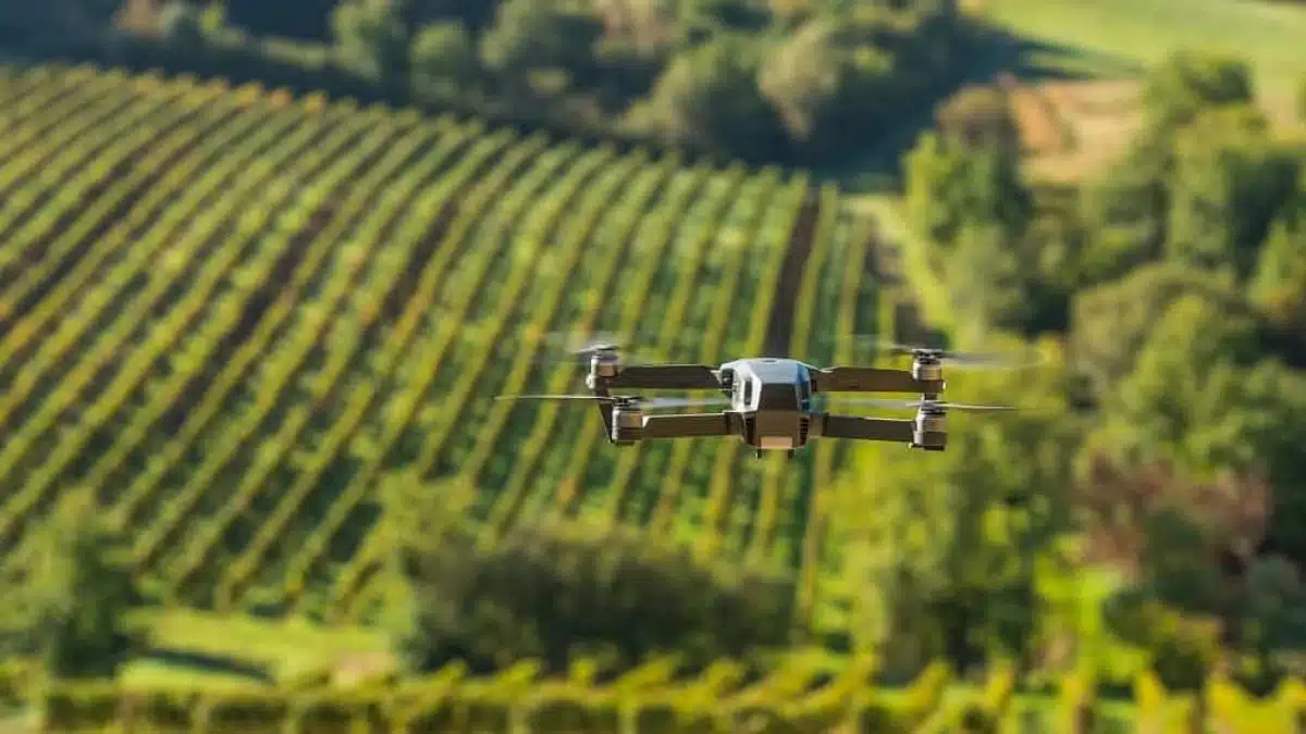 Algérie : des drones pour surveiller les cultures stratégiques