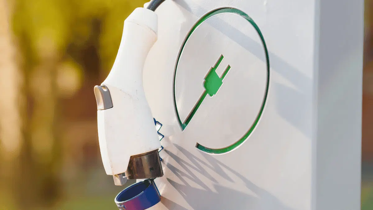 L&rsquo;Algérie prête à devenir la batterie verte de l&rsquo;Europe