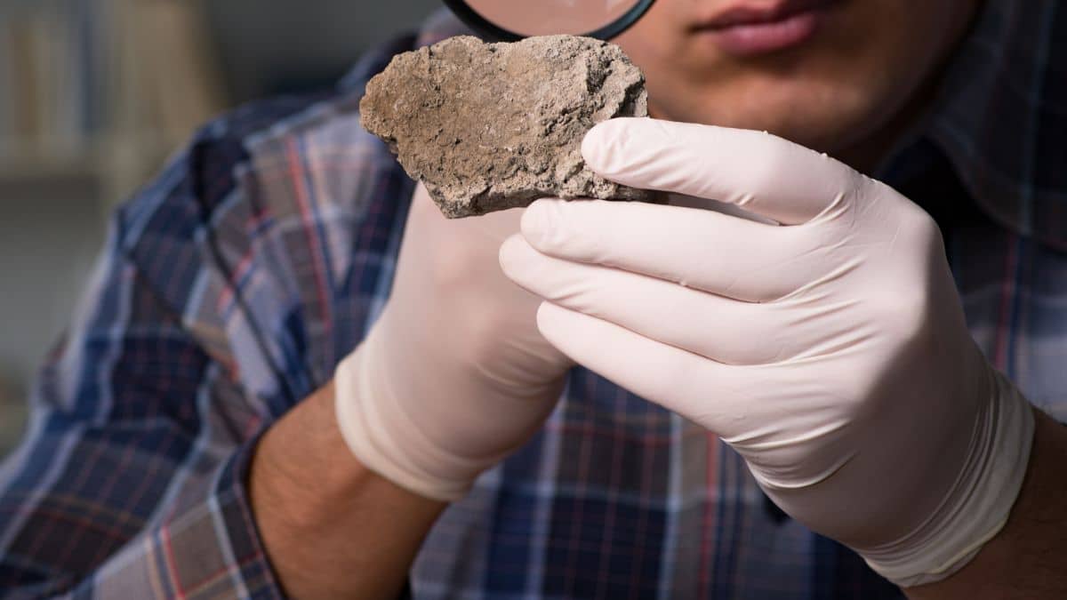 Algérie : découverte du premier fossile d’un reptile marin vieux de 88 millions d’années