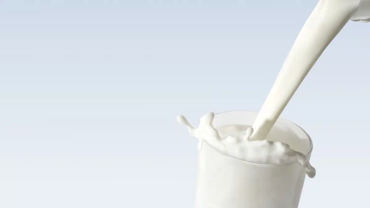 Lait en Algérie : un nouveau concurrent pour Soummam et Candia